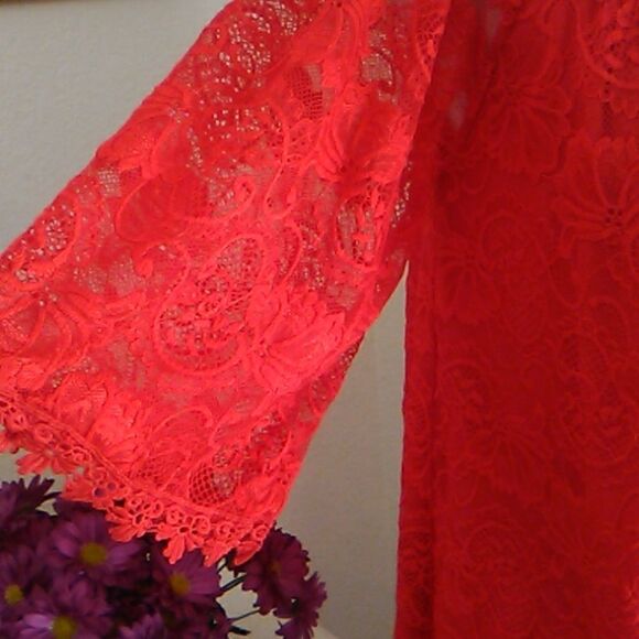Miholl Bright Red Lace Dress - Picture 4 of 9